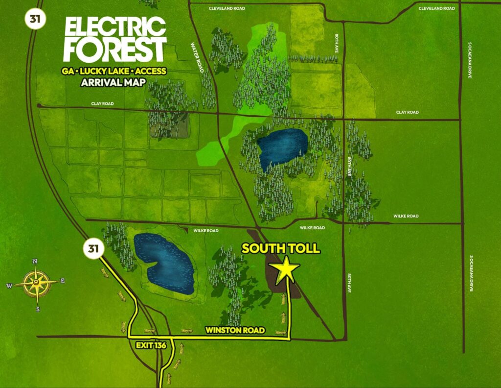 Photo: Electric Forest